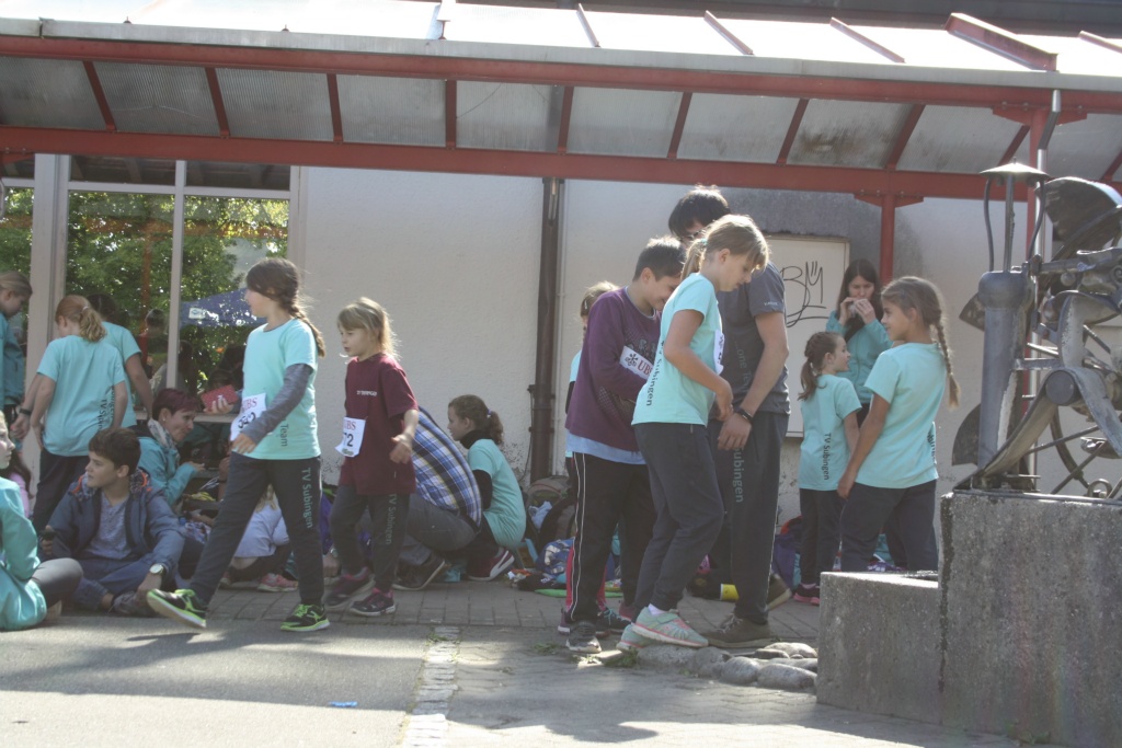 Bild 1 (91)